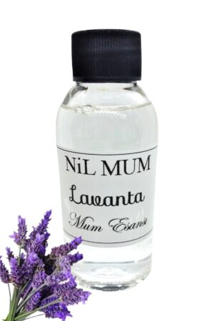 Lavanta Mum Esansı 100 gr